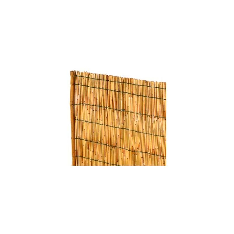 Trska bambus 1,5 x 3m